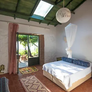 Bed & Breakfast Faralya Botanica, Oludeniz